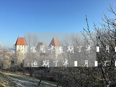信用卡逾期了半個月會不會上征信-信用卡逾期了半個月會不會上征信記錄