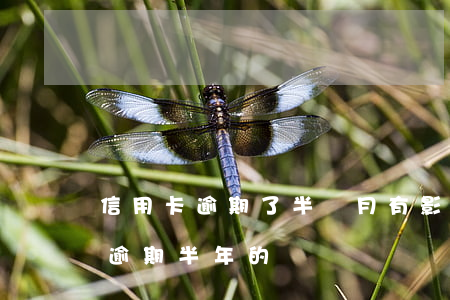 信用卡逾期了半個月有影響嗎(有沒有信用卡逾期半年的)