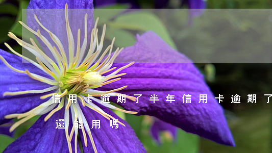 信用卡逾期了半年(信用卡逾期了半年了還上還能用嗎)