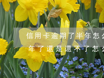 信用卡逾期了半年怎么辦(目前信用卡逾期半年了還是還不了,怎么辦)