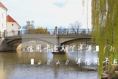 信用卡逾期了半年會(huì)被法院起訴嗎(2020年信用卡逾期法院還受理起訴嗎)