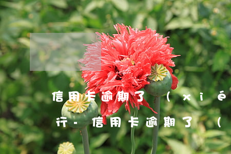 信用卡逾期了協(xié)商不了怎么辦銀行-信用卡逾期了協(xié)商不了怎么辦銀行能貸款嗎