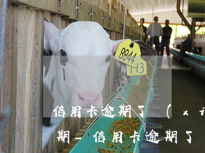 信用卡逾期了協(xié)商分期最高多少期-信用卡逾期了協(xié)商分期最高多少期還款