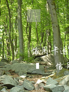 信用卡逾期了協(xié)商最長可以多久還-信用卡逾期了協(xié)商最長可以多久還款