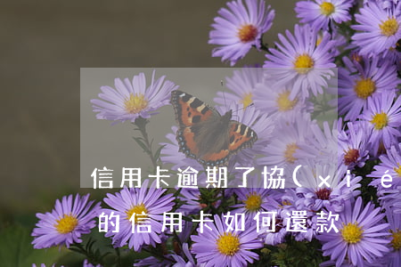 信用卡逾期了協(xié)商還款技巧(逾期的信用卡如何還款)