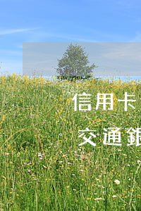 信用卡逾期了協(xié)商還款注意什么(交通銀行的信用卡逾期了可以協(xié)商還本金嗎)