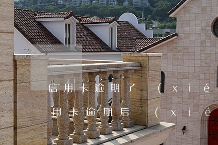 信用卡逾期了協(xié)商還款的流程(信用卡逾期后協(xié)商還完后怎么弄)