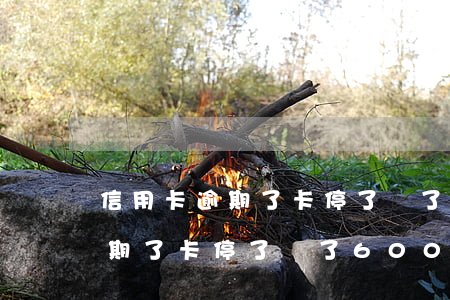 信用卡逾期了卡停了還了600-信用卡逾期了卡停了還了6000怎么辦