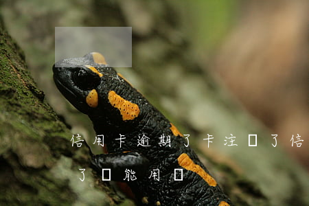 信用卡逾期了卡注銷了(信用卡逾期了卡注銷了還能用嗎)