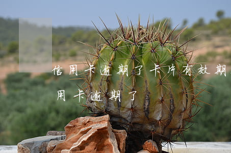 信用卡逾期了卡片有效期要過了-什么叫信用卡逾期了