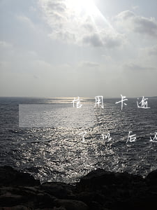信用卡逾期了卡还能用么(信用卡逾期,然后还了以后还能不能用?)