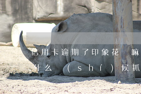 信用卡逾期了印象花唄嘛(信用卡花唄逾期了什么時(shí)候抓我坐牢)