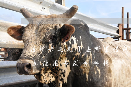 信用卡逾期了去哪里借钱 有负债有逾期哪能办信用卡或者借钱