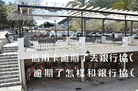 信用卡逾期了去銀行協(xié)商(信用卡逾期了,怎樣和銀行協(xié)商)