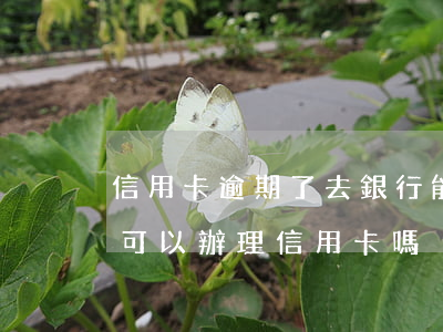 信用卡逾期了去銀行能還嗎(有信用卡逾期還可以辦理信用卡嗎)