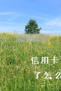 信用卡逾期了又掉了(所有的貸款信用卡逾期了怎么辦)