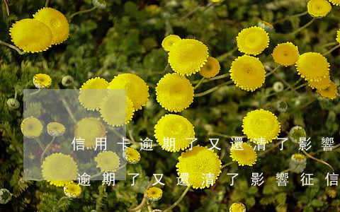 信用卡逾期了又還清了影響征信嗎-信用卡逾期了又還清了影響征信嗎怎么辦