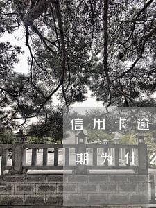 信用卡逾期了发来了案件号(别人的信用卡逾期为什么信息发我这里)