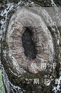 信用卡逾期了叫你核對資料(怎樣看信用卡逾期記錄)