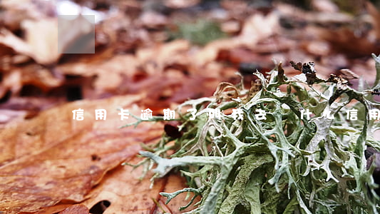 信用卡逾期了叫我去簽什么 信用卡逾期怎么辦