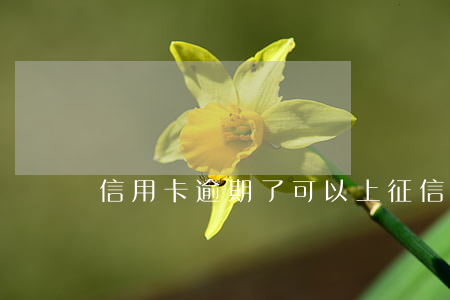 信用卡逾期了可以上征信嗎