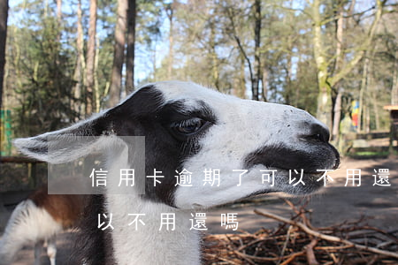 信用卡逾期了可以不用還嗎(信用卡逾期了可以不用還嗎)