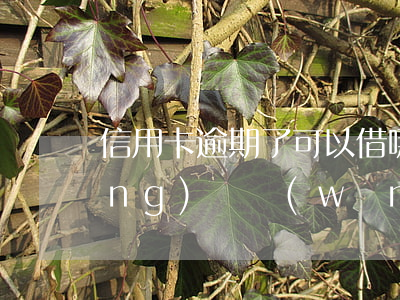 信用卡逾期了可以借哪個(gè)網(wǎng)貸(網(wǎng)貸逾期了可以申請(qǐng)信用卡嗎)