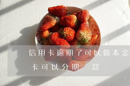 信用卡逾期了可以做本金分期么(逾期的信用卡可以分期還款嗎)