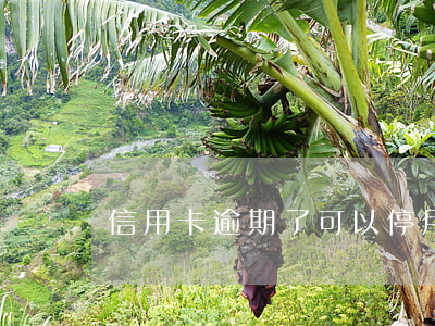 信用卡逾期了可以停用了嗎