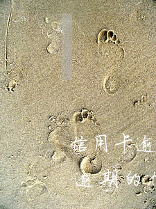 信用卡逾期了可以先還一點(diǎn)嗎(逾期的信用卡還上后還能刷卡嗎)