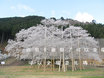 信用卡逾期了可以全權委托嗎（信用卡逾期了可以全權委托嗎）