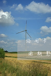 信用卡逾期了可以出國(guó)么(信用卡逾期影響出國(guó)簽證嗎)