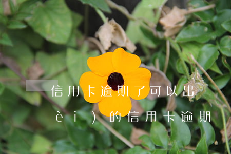 信用卡逾期了可以出國嗎 出國以后國內(nèi)的信用卡逾期還能回國嗎