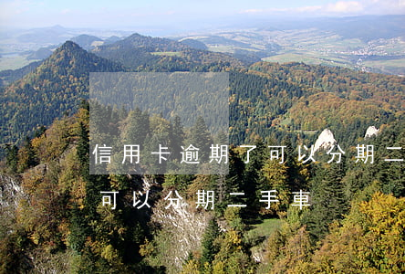 信用卡逾期了可以分期二手車(信用卡逾期了可以分期二手車)