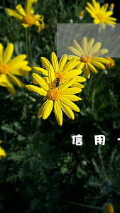 信用卡逾期了可以分期付嗎(信用卡分期逾期)