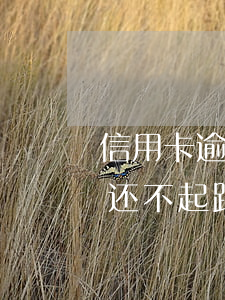 信用卡逾期了可以协商么(快逾期了欠信用卡还不起跟银行能有协商的可能性吗)