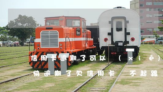 信用卡逾期了可以協(xié)商停息嗎-快逾期了欠信用卡還不起跟銀行能有協(xié)商的可能性嗎