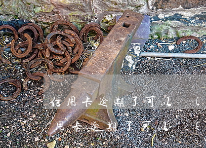 信用卡逾期了可以協(xié)商減免嗎(信用卡逾期了可以協(xié)商減免嗎)