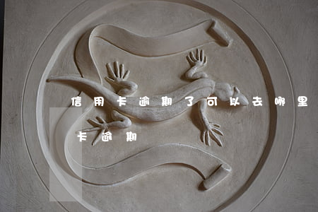 信用卡逾期了可以去哪里查(怎么查哪張信用卡逾期)