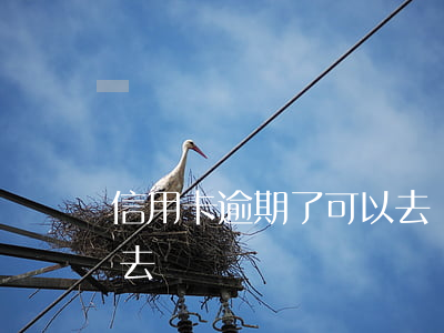 信用卡逾期了可以去問-信用卡逾期了可以去問