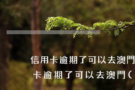 信用卡逾期了可以去澳門(mén)嗎(信用卡逾期了可以去澳門(mén)嗎)