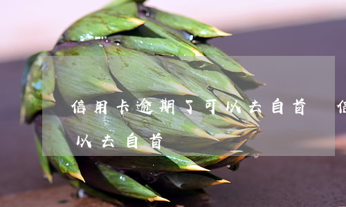 信用卡逾期了可以去自首嗎(信用卡逾期了可以去自首嗎)