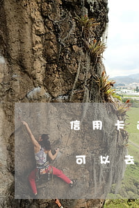 信用卡逾期了可以去螞蟻莊園 信用卡逾期了可以去螞蟻莊園