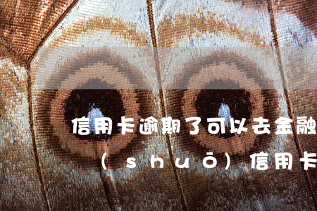 信用卡逾期了可以去金融簡(jiǎn)單說(shuō)(信用卡逾期了可以去金融簡(jiǎn)單說(shuō))