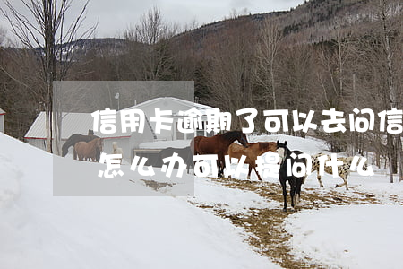 信用卡逾期了可以去问(信用卡逾期了还不上怎么办可以提问什么?)