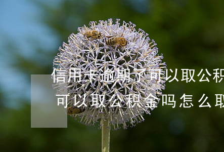 信用卡逾期了可以取公积金吗 信用卡逾期了可以取公积金吗怎么取