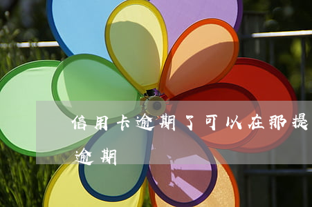 信用卡逾期了可以在那提問求助-我信用卡逾期