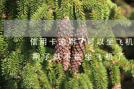 信用卡逾期了可以坐飞机么(是不是信用卡逾期了就不能坐飞机了)