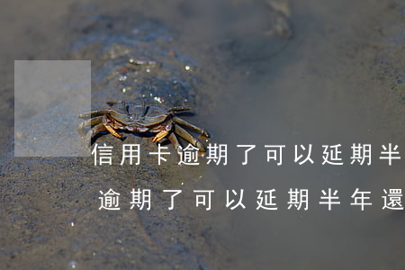 信用卡逾期了可以延期半年還款嗎-信用卡逾期了可以延期半年還款嗎怎么辦