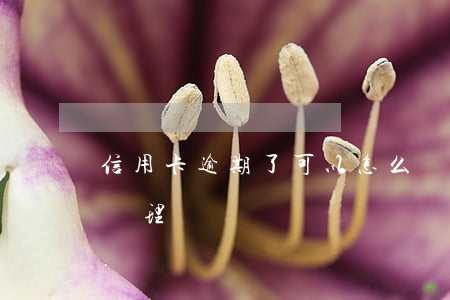 信用卡逾期了可以怎么還(還逾期信用卡怎么處理)